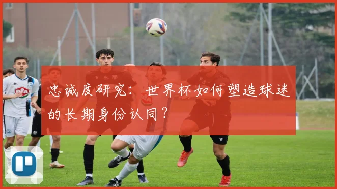 忠诚度研究：世界杯如何塑造球迷的长期身份认同？