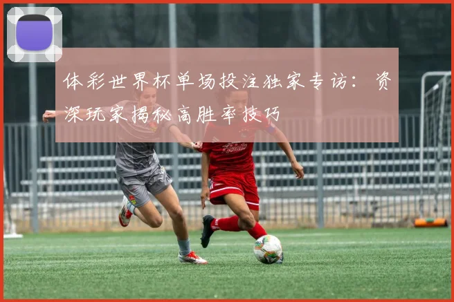 体彩世界杯单场投注独家专访：资深玩家揭秘高胜率技巧